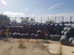Immagine 4 - Fusti in plastica per alimenti - Lotto 55 (Asta 9550)