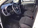 Immagine 14 - Automobile Fiat Panda Hybrid - Lotto 3 (Asta 9554)