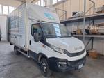 Immagine 1 - Autocarro Iveco - Lotto 4 (Asta 9559)