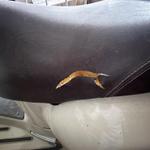 Image 11 - Vespa Piaggio 124 - Lot 3 (Auction 9565)