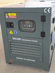 Immagine 11 - Generatore elettrico Salini Power VG-R30 - Lotto 23 (Asta 9575)