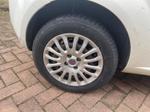 Immagine 7 - Autocarro Fiat Punto - Lotto 1 (Asta 9611)