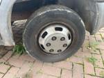 Immagine 8 - Autocarro Nissan Cabstar - Lotto 4 (Asta 9611)