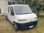 Immagine 4 - Autoveicolo Fiat Ducato - Lotto 5 (Asta 9611)