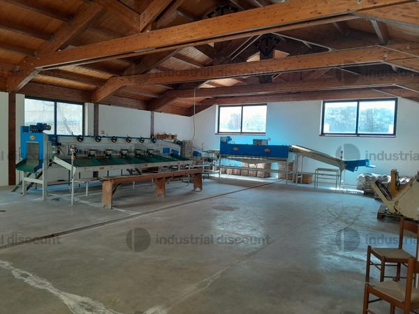 Lavorazione frutta e verdura in vendita