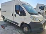 Immagine 1 - Autocarro Fiat Ducato - Lotto 4 (Asta 9649)