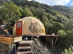 Complesso aziendale costituito da beni immobili, mobili, diritti e licenze - Lotto 0 (Asta 9655)