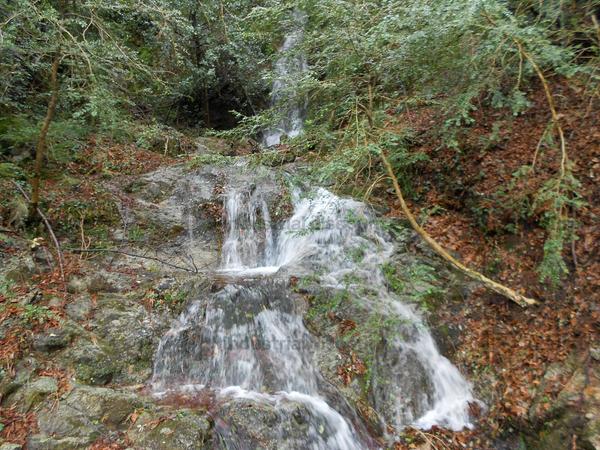 1#9655 Complesso aziendale costituito da beni immobili, mobili, diritti, progetto e autorizzazione a installare Zip Line in vendita - foto 18
