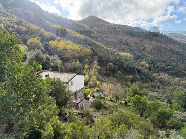 1#9655 Complesso aziendale costituito da beni immobili, mobili, diritti, licenze in vendita - foto 11