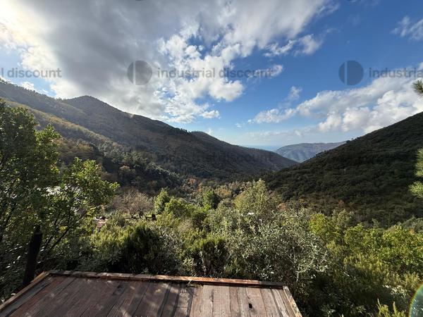 1#9655 Complesso aziendale costituito da beni immobili, mobili, diritti, licenze in vendita - foto 21