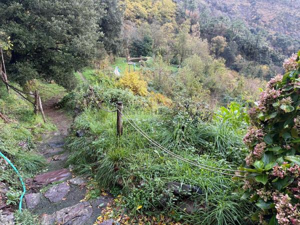 1#9655 Complesso aziendale costituito da beni immobili, mobili, diritti, licenze in vendita - foto 44