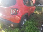 Immagine 25 - Jeep Renegade Limited - Lotto 1 (Asta 9686)