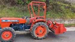 Trattore agricolo Same Delfino 35 e accessori - Lotto 1 (Asta 9718)
