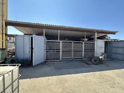 Container - Lotto 16 (Asta 9808)