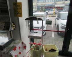 Cestini della spesa espositore e barriera in acciaio - Lotto 27 (Asta 9809)