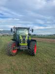Immagine 7 - Trattore agricolo Claas 430 Arion - Lotto 1 (Asta 9810)