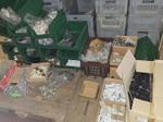 Immagine 55 - Giacenze di magazzino e scaffalature - Lotto 205 (Asta 9818)