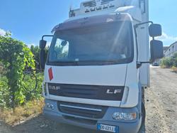 Autocarro Daf - Lotto 100 (Asta 9825)