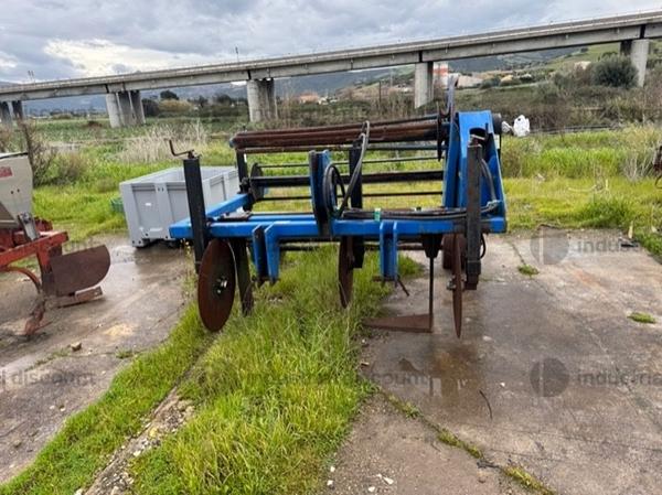 2#9830 Togliplastica Sansevieri PCM01 in vendita - foto 5