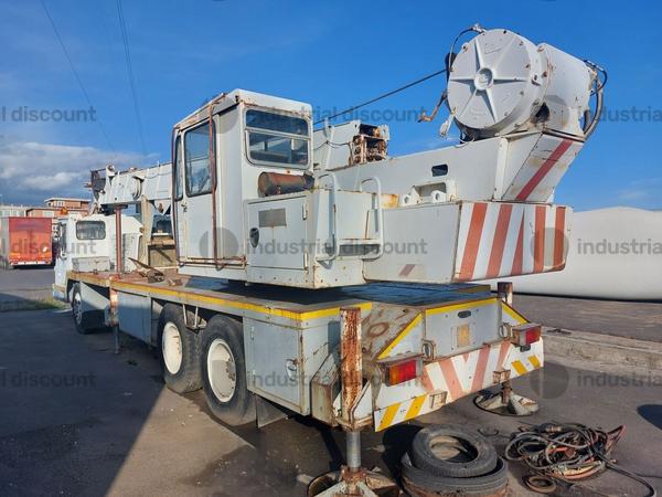 15#9846 Macchina operatrice semovente Grove in vendita - foto 2