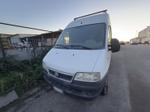 Immagine 17 - Furgone Fiat Ducato - Lotto 1 (Asta 9883)
