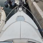 Immagine 12 - Imbarcazione Regal Commodore 256 - Lotto 3 (Asta 9886)