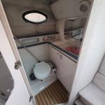 Immagine 18 - Imbarcazione Regal Commodore 256 - Lotto 3 (Asta 9886)