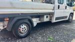Immagine 9 - Autocarro Fiat Ducato 250 - Lotto 4 (Asta 9932)