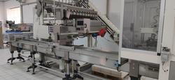 Linea confezionamento pasta secca Techno Pack-Opem - Lotto 1 (Asta 9938)