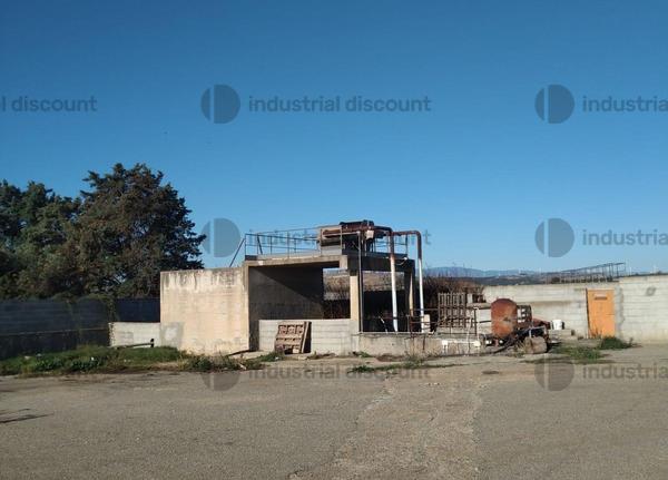 1#9953 Impianto trasformazione pomodoro in vendita - foto 6