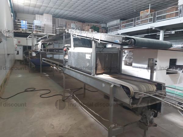 1#9964 Linea di confezionamento e Bilancia elettronica Macchine per lavaggio e smistamento prodotti agricoli e autocarri in vendita - foto 5