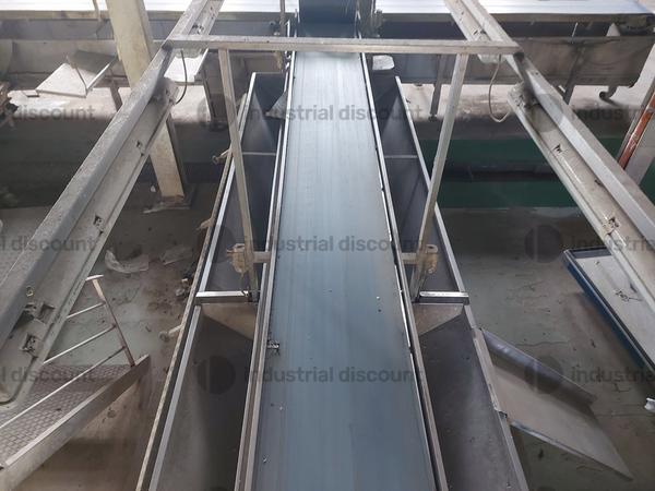 1#9964 Linea di confezionamento e Bilancia elettronica Macchine per lavaggio e smistamento prodotti agricoli e autocarri in vendita - foto 8