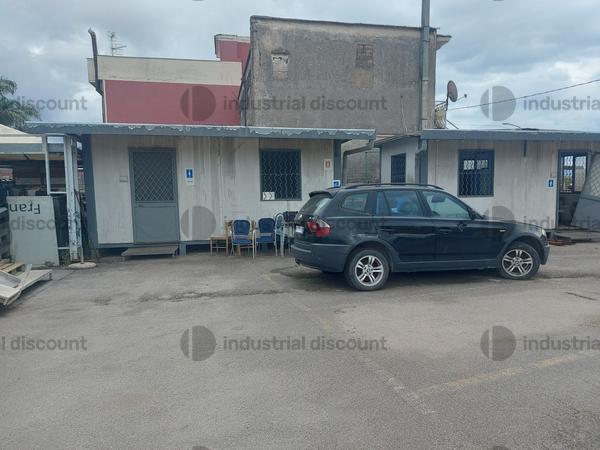 1#9964 Linea di confezionamento e Bilancia elettronica Macchine per lavaggio e smistamento prodotti agricoli e autocarri in vendita - foto 14