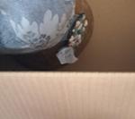 Immagine 4 - Accessori moda - Lotto 1 (Asta 9983)