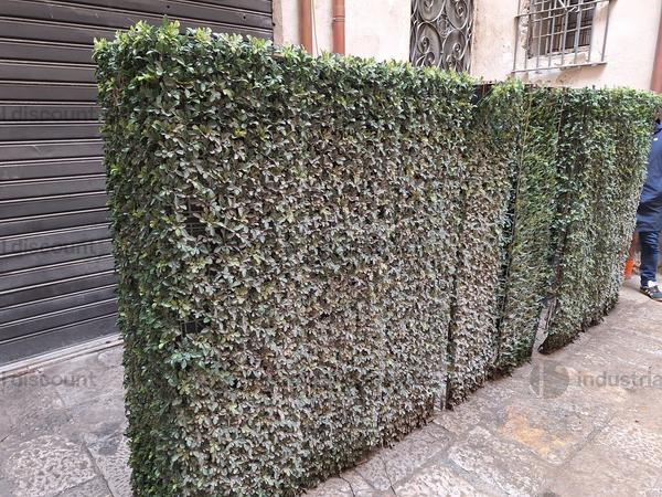 1#9993 Attrezzature per la ristorazione in vendita - foto 9