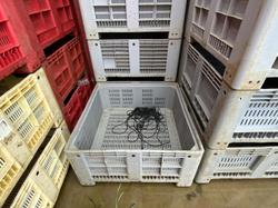 Bins usati per alimenti - Lotto 17 (Asta 9999)