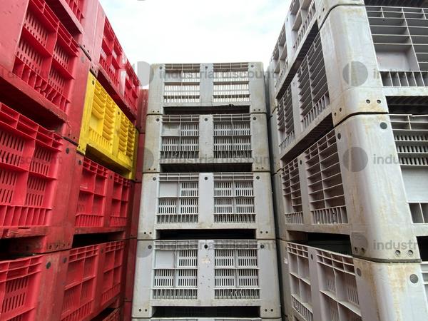 17#9999 Bins usati per alimenti in vendita - foto 3
