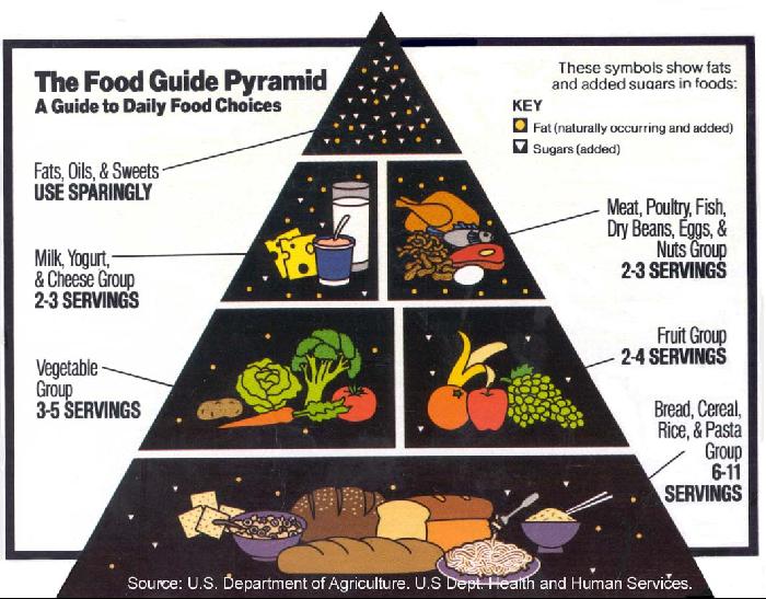 School should ban junk food essay