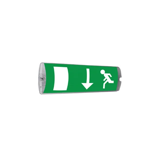 Hire Emergency Exit Bulkhead Light - Image 1