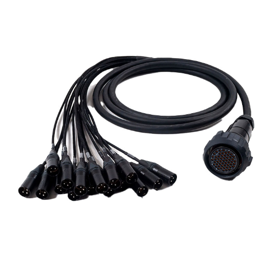 Hire RCH Audio 12-Way Audio Breakout Cable 2m - Image 1