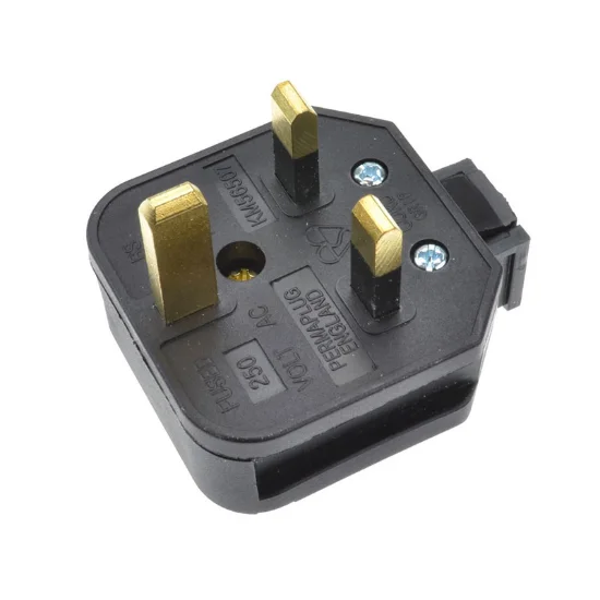 Hire 13A Permaplug - Image 1
