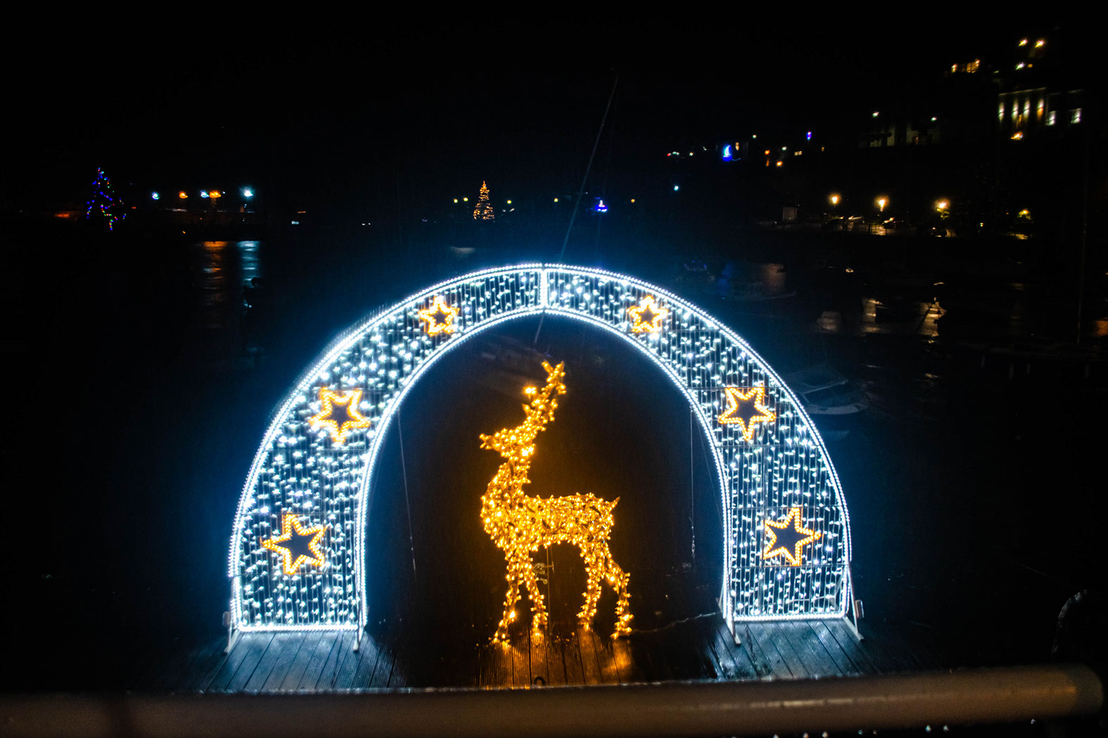 Warm white illuminated 3D reindeer standing underneath a white illuminated arch