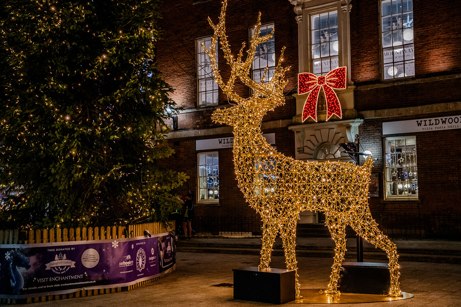 Large warm white illuminated 3D reindeer standing next to a Christmas tree