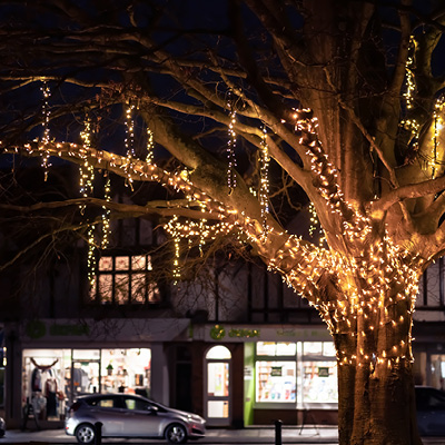 A large tree wrapped in glowing warm white light string with hanging warm white cluster lights on the branches in front of a row of shops on a street at night.
