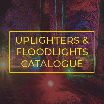Brightly coloured uplighters at the base of trees