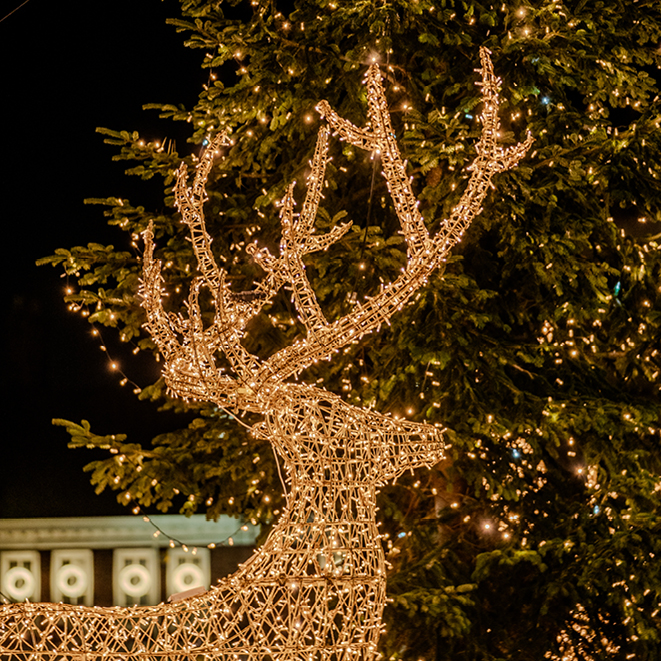 Close up of warm white lit reindeer in front of warm white lit Christmas Tree
