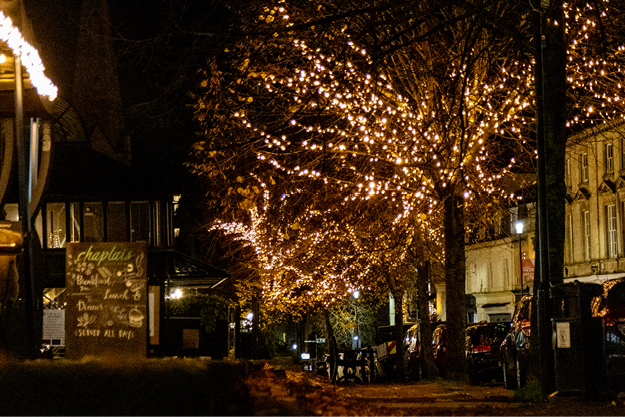 Branch wrapped trees outside restaurants in Cheltenham