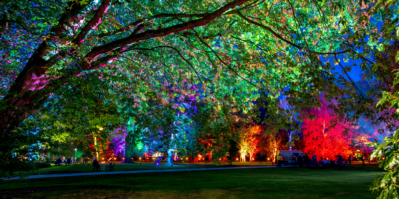 A nighttime park scene with trees illuminated by vibrant multicolored lights and a few people walking along paths.