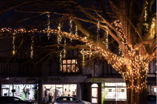 Warm white light strings wrapped around a large tree trunk and branches with warm white BOA tree kit strands dangling from the branches