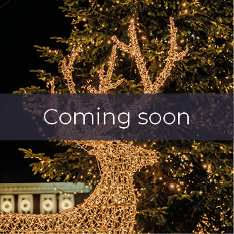 PWarm white lit reindeer in front of Christmas tree with coming soon banner